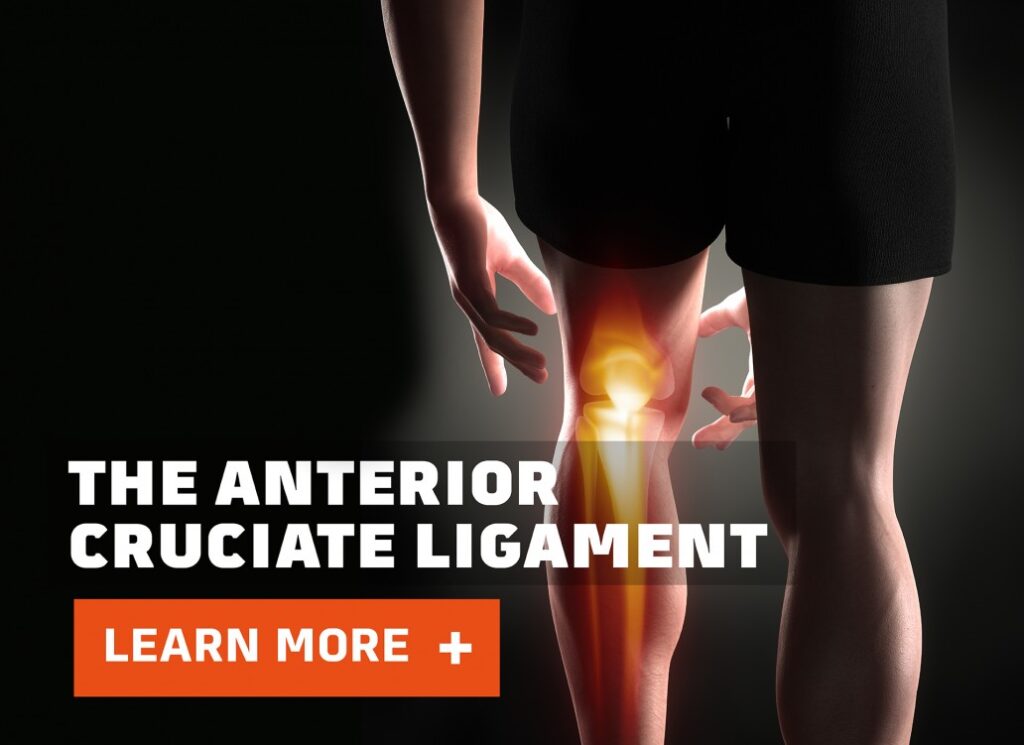 image of the anterior cruciate ligament guide