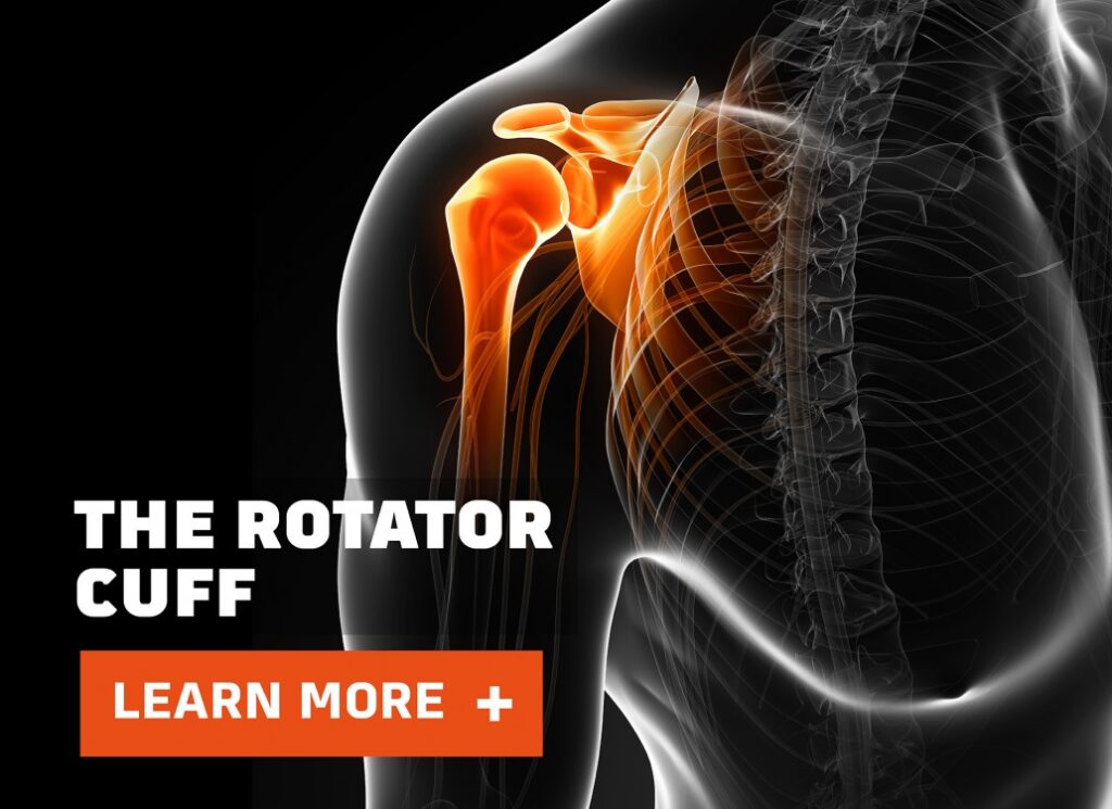 image of the rotator cuff guide