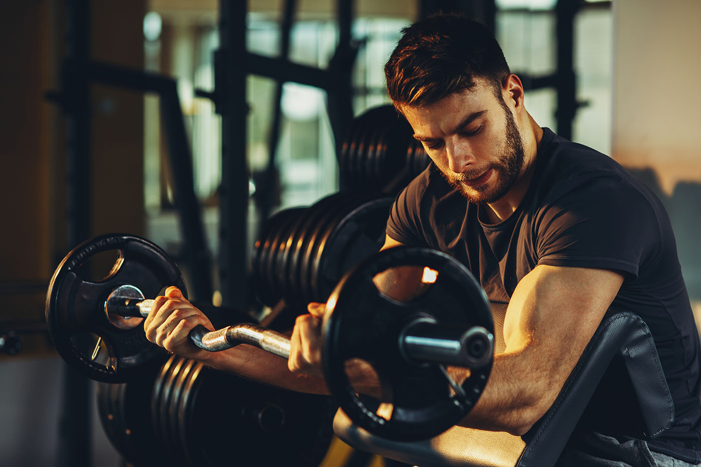 Main lifting weights in the gym